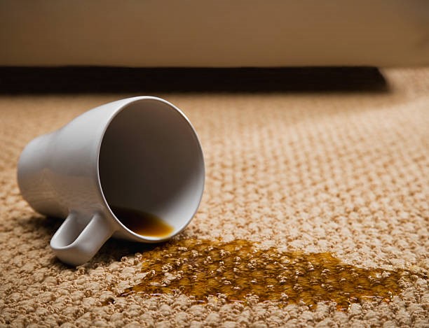 carpet cleaning service