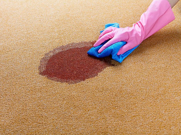 carpet cleaner services