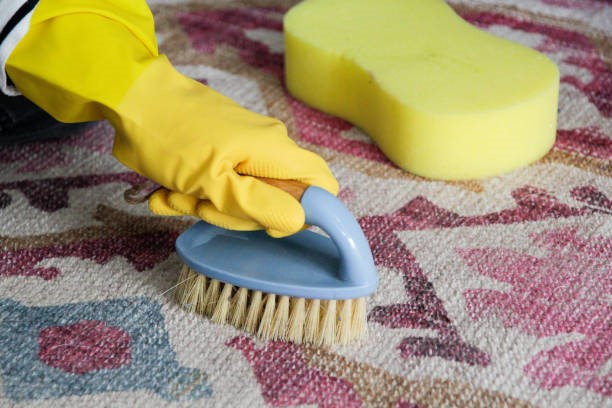 carpet cleaning services near me Alameda